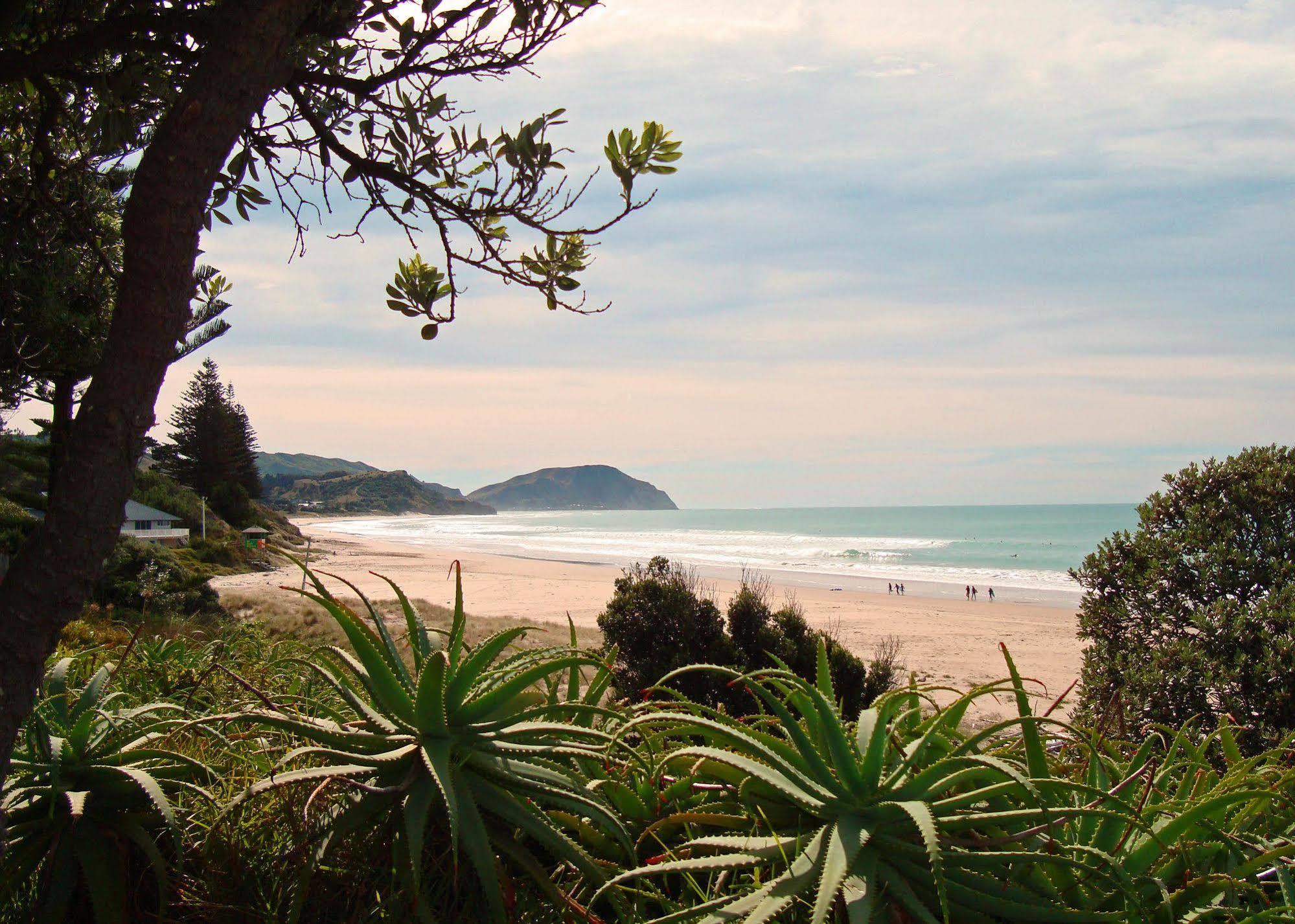 Ocean Beach Motor Lodge Gisborne Buitenkant foto
